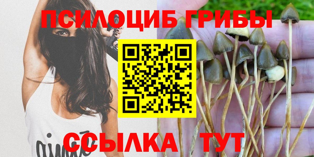 Галлюциногенные грибы GOLDEN TEACHER  купить   Галлюциногенные грибы Psilocybe  Россошь  Вход с VPN 
