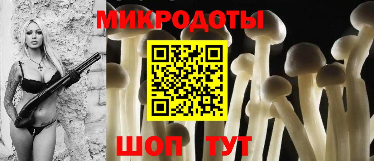 Псилоцибиновые грибы мицелий Россошь
